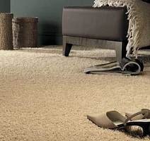 Hidden Treasure Beaulie of America